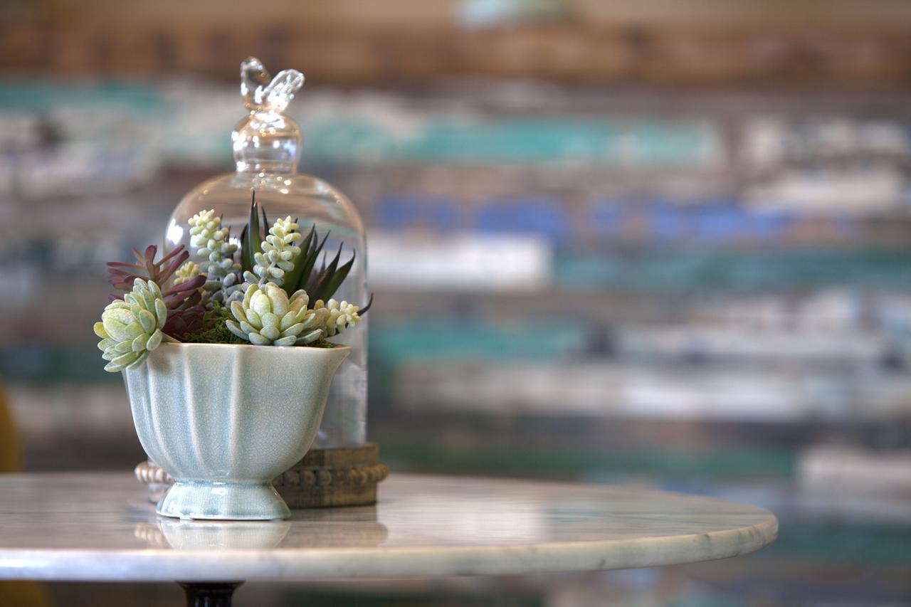 Hermanus Boutique Guest House Zewnętrze zdjęcie