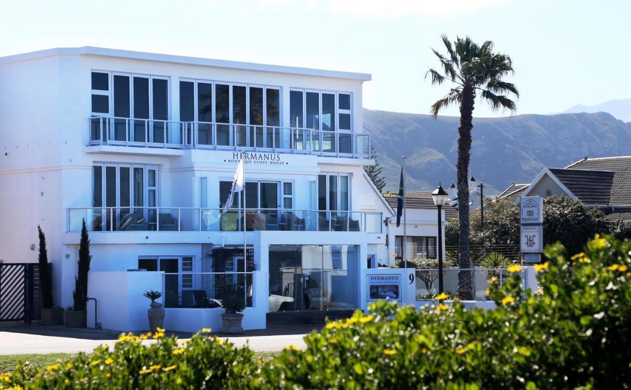 Hermanus Boutique Guest House Zewnętrze zdjęcie